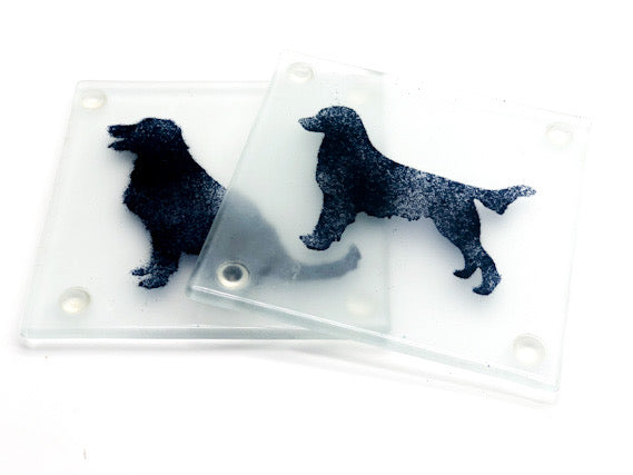 Flat coat retriever coasters