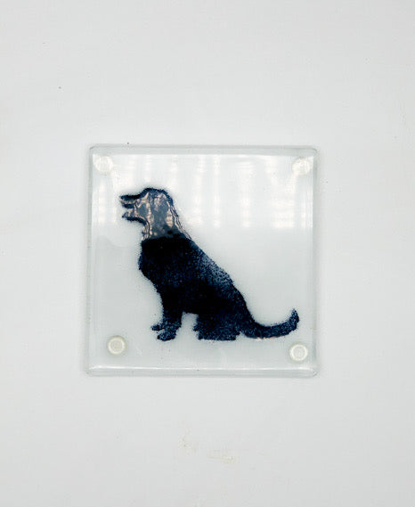 Flat coat retriever coasters