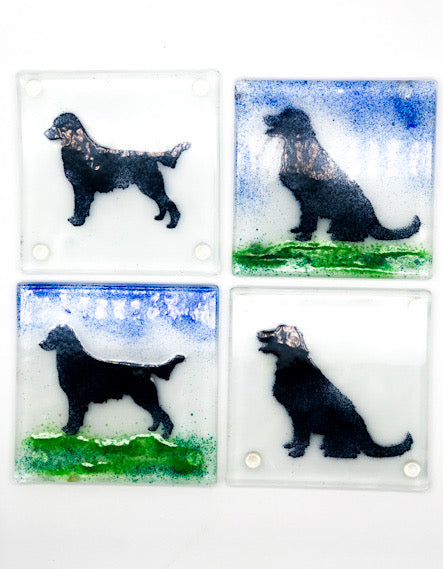 Flat coat retriever coasters