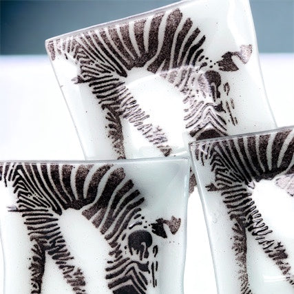 Zoe the Zebra