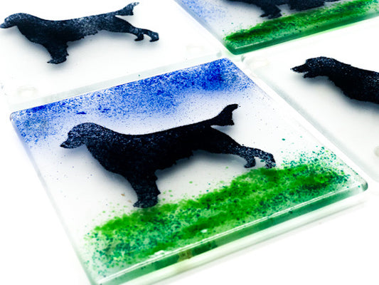 Flat coat retriever coasters