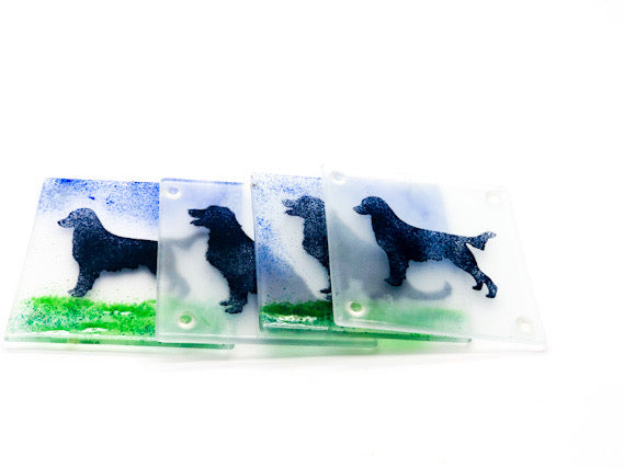 Flat coat retriever coasters