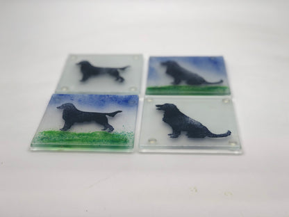 Flat coat retriever coasters